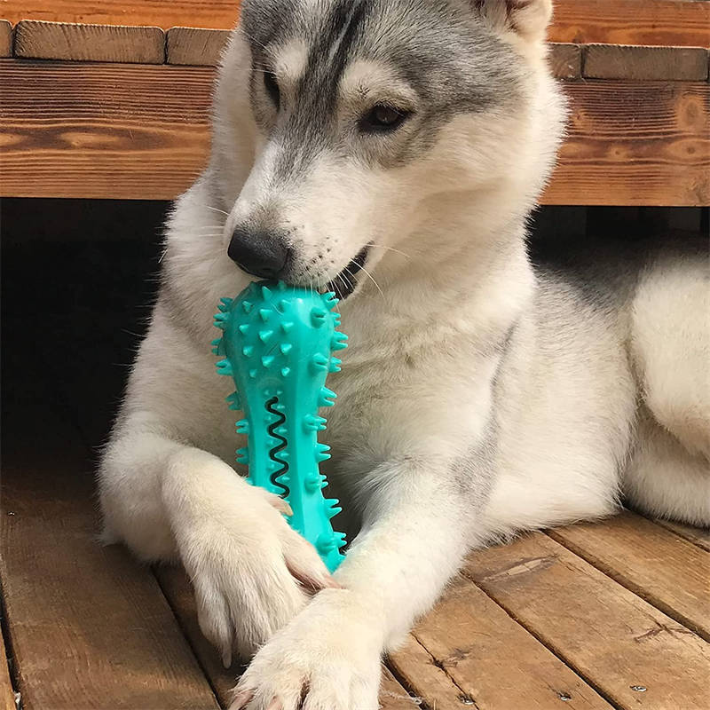 Durable Dog Chew Toy – Dental Cleaning Rubber Stick for Aggressive Chewers